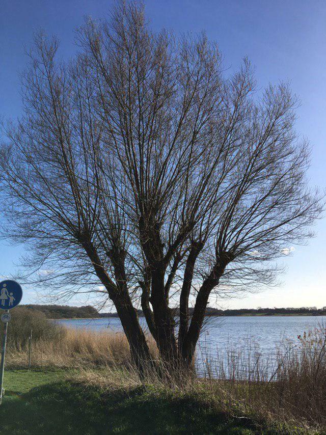 Ferienwohnung Am Noor Nahe Schleswig Und Dem Wikingerdorf Haithabu Fahrdorf  Kültér fotó