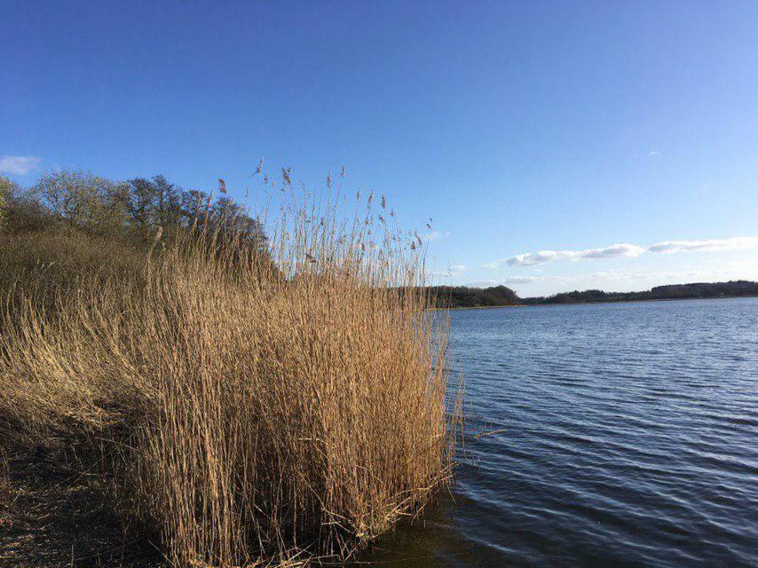 Ferienwohnung Am Noor Nahe Schleswig Und Dem Wikingerdorf Haithabu Fahrdorf  Kültér fotó